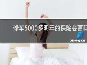 修车5000多明年的保险会高吗