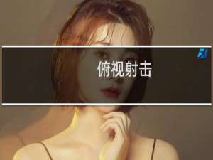 俯视射击