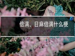 倍满、日麻倍满什么梗