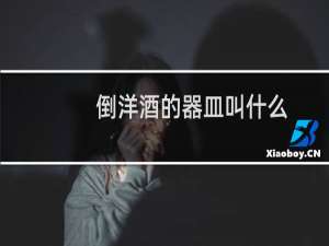 倒洋酒的器皿叫什么