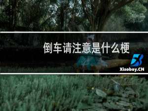 倒车请注意是什么梗