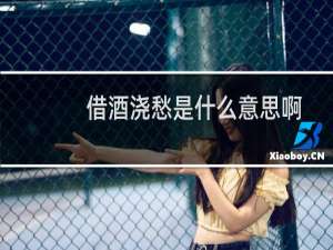 借酒浇愁是什么意思啊