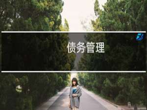 债务管理