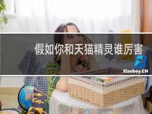 假如你和天猫精灵谁厉害