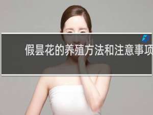 假昙花的养殖方法和注意事项