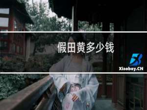 假田黄多少钱