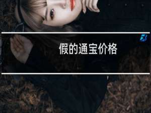 假的通宝价格