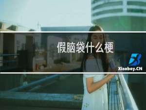 假脑袋什么梗