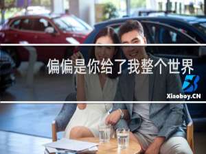 偏偏是你给了我整个世界