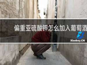 偏重亚硫酸钾怎么加入葡萄酒