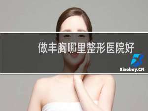 做丰胸哪里整形医院好