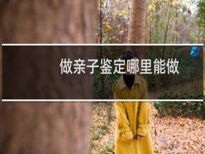 做亲子鉴定哪里能做