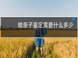 做亲子鉴定需要什么多少钱