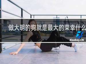 做大明的狗就是最大的荣幸什么梗