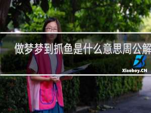 做梦梦到抓鱼是什么意思周公解梦