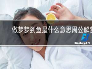 做梦梦到鱼是什么意思周公解梦