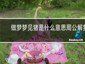 做梦梦见猪是什么意思周公解梦