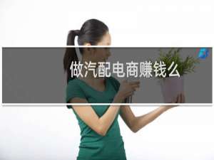 做汽配电商赚钱么