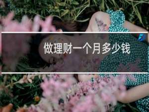 做理财一个月多少钱