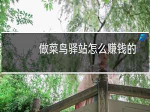 做菜鸟驿站怎么赚钱的