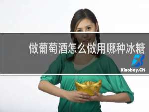 做葡萄酒怎么做用哪种冰糖