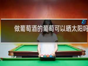 做葡萄酒的葡萄可以晒太阳吗