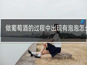 做葡萄酒的过程中出现有泡泡怎么办