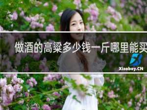 做酒的高粱多少钱一斤哪里能买到