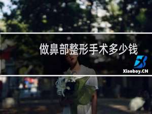 做鼻部整形手术多少钱