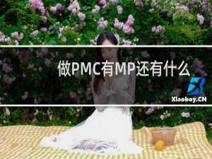 做PMC有MP还有什么
