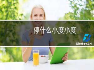 停什么小度小度