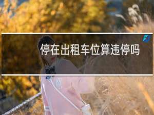 停在出租车位算违停吗