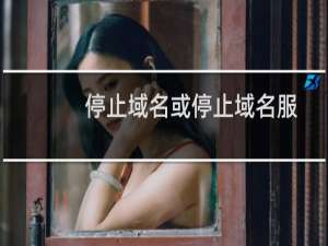 停止域名或停止域名服务-域名及账户问题