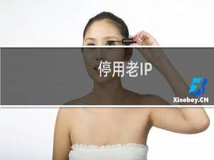 停用老IP，帮我更换一个新的IP