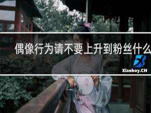 偶像行为请不要上升到粉丝什么梗