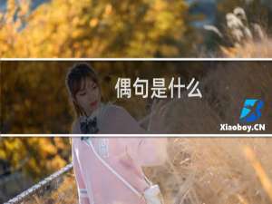 偶句是什么