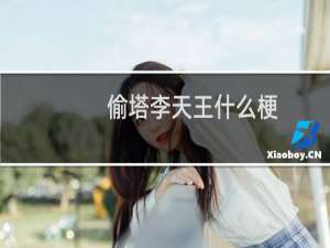偷塔李天王什么梗