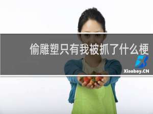 偷雕塑只有我被抓了什么梗？什么梗