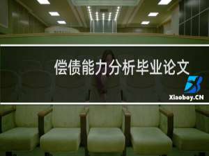 偿债能力分析毕业论文