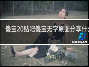 傻宝 贴吧傻宝无字原图分享什么梗