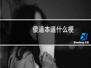 傻逼本逼什么梗