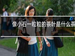 像小石一粒粒的茶叶是什么茶