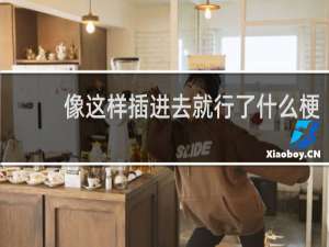 像这样插进去就行了什么梗？像这样插进去就行了是什么意思什么梗