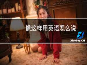 像这样用英语怎么说