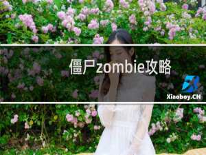 僵尸zombie攻略