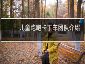 儿童跑跑卡丁车团队介绍