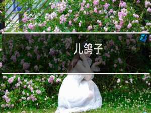 儿鸽子