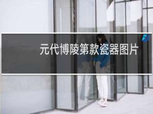元代博陵第款瓷器图片