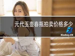 元代玉壶春瓶拍卖价格多少