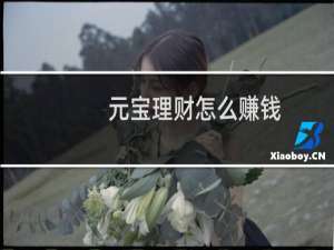 元宝理财怎么赚钱